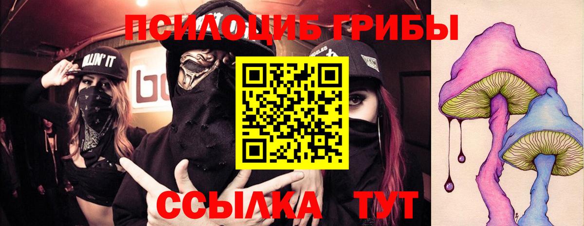 Галлюциногенные грибы MAGIC MUSHROOMS  Псилоцибиновые грибы Psilocybine cubensis  Семёнов  Вход с VPN 